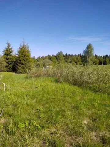 Участок 15 сот. (ИЖС) - Фото 0