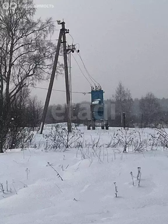 Участок в Ярославская область, Даниловский муниципальный округ, ... - Фото 2