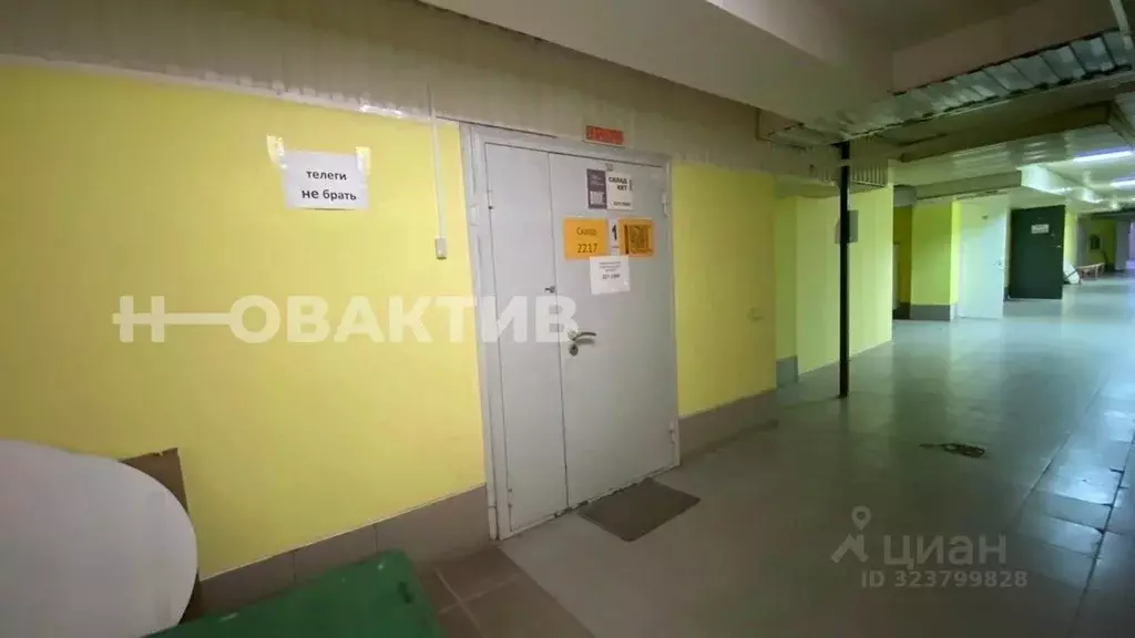 Помещение свободного назначения в Новосибирская область, Новосибирск ... - Фото 2