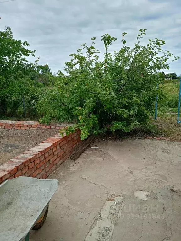 Дом в Саратовская область, Энгельсский район, Новопушкинское ... - Фото 1