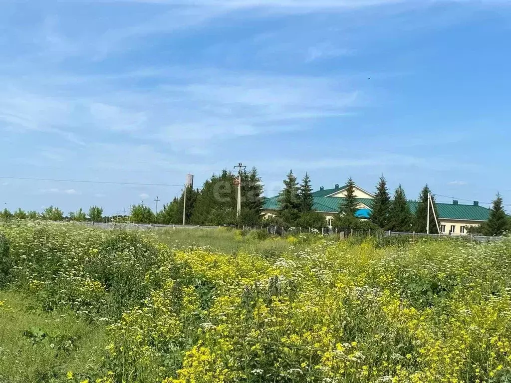Участок в Башкортостан, Архангельский район, Липовский сельсовет, с. ... - Фото 1