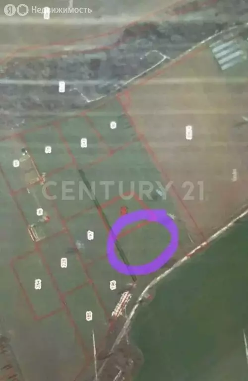 Участок в Севастополь, Балаклавский муниципальный округ, село ... - Фото 2