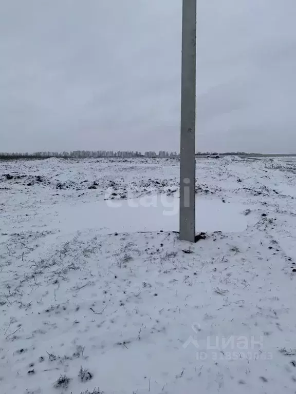 Участок в Белгородская область, Белгородский район, Головинское с/пос, ... - Фото 1