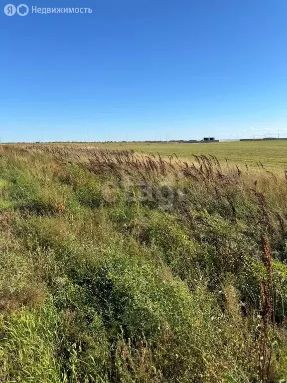 Участок в Амурская область, Благовещенский муниципальный округ, село ... - Фото 0