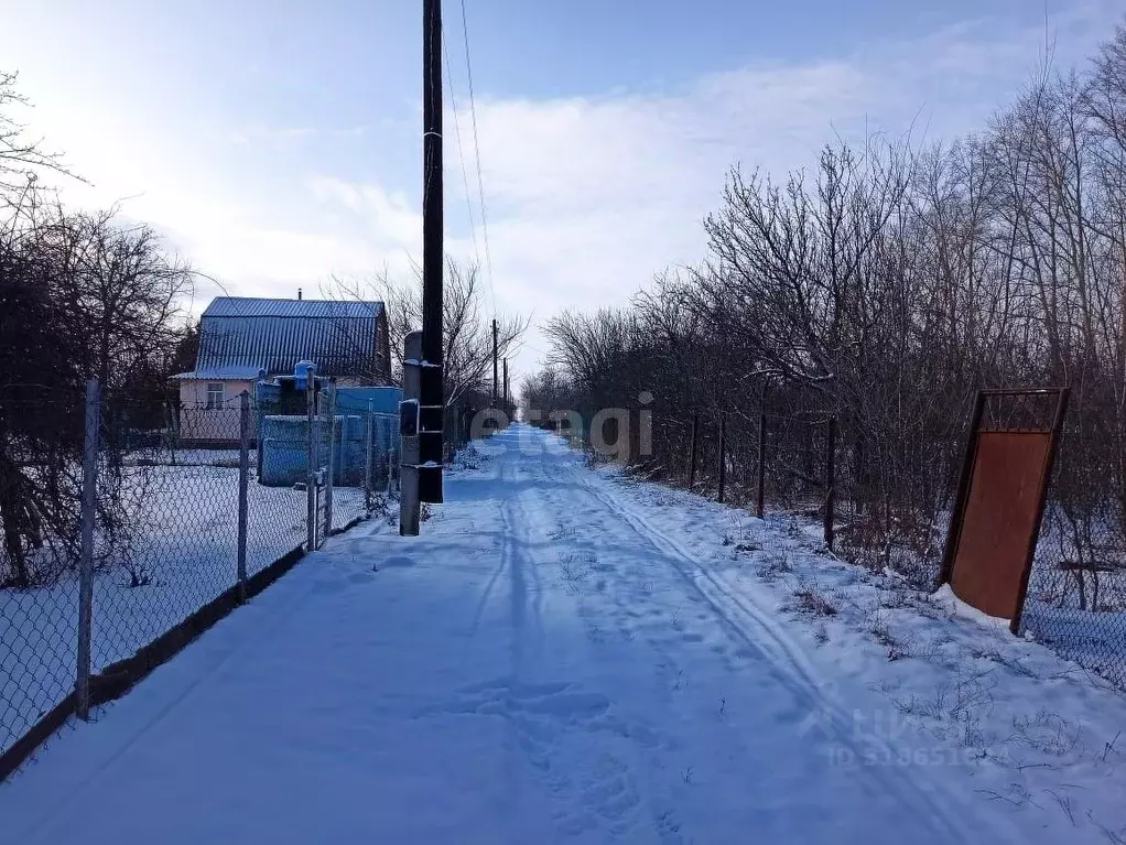 Дом в Воронежская область, Хохольское городское поселение, ... - Фото 0