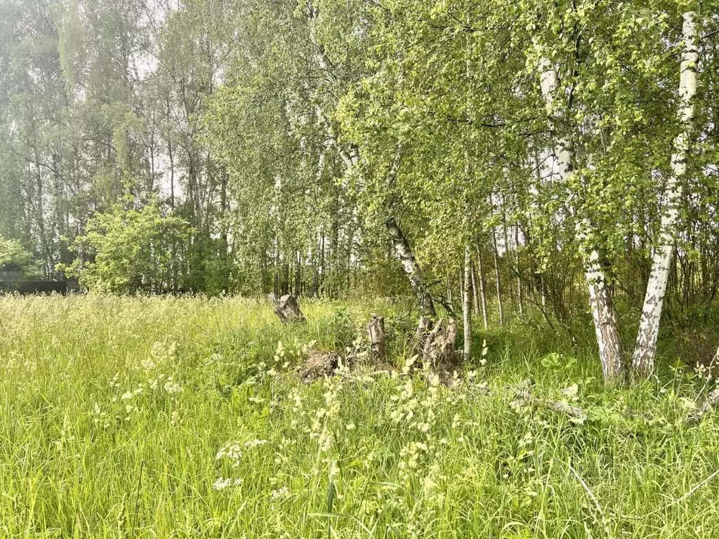 Участок в Московская область, Одинцовский городской округ, Лапино СНТ ... - Фото 1