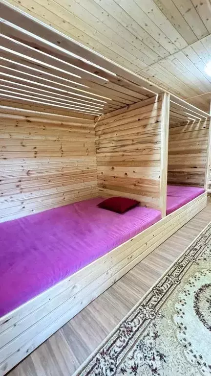 Дом в Карачаево-Черкесия, Зеленчукский район, с. Архыз  (41 м) - Фото 2