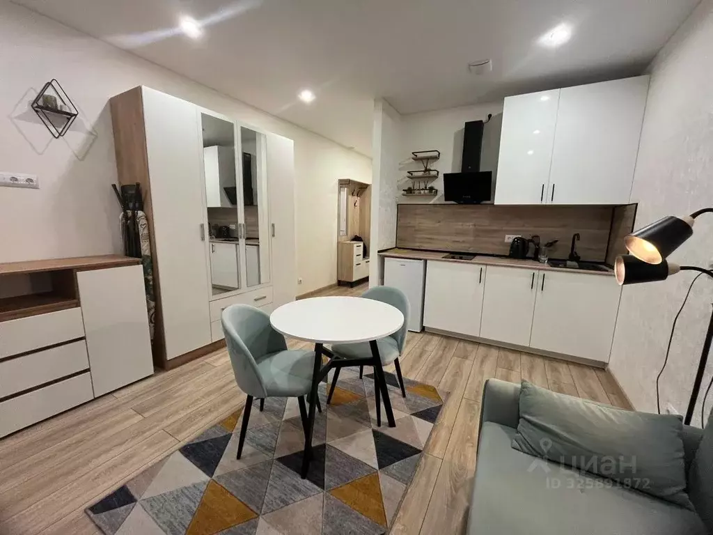 Студия Москва ул. Авиаторов, 1 (24.0 м) - Фото 2