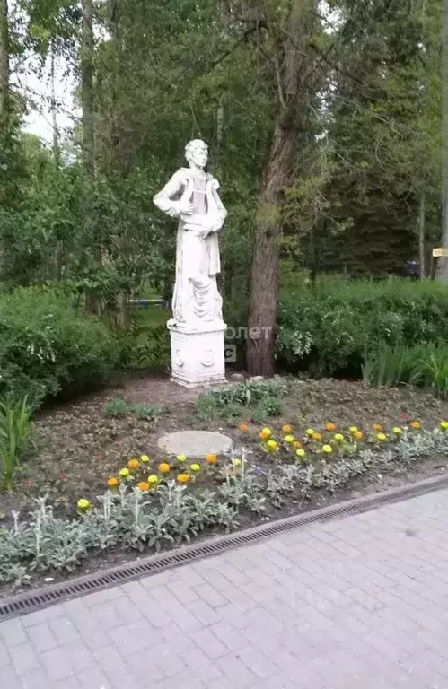 Участок в Московская область, Воскресенск Ачкасовская ул. (3.0 сот.) - Фото 1