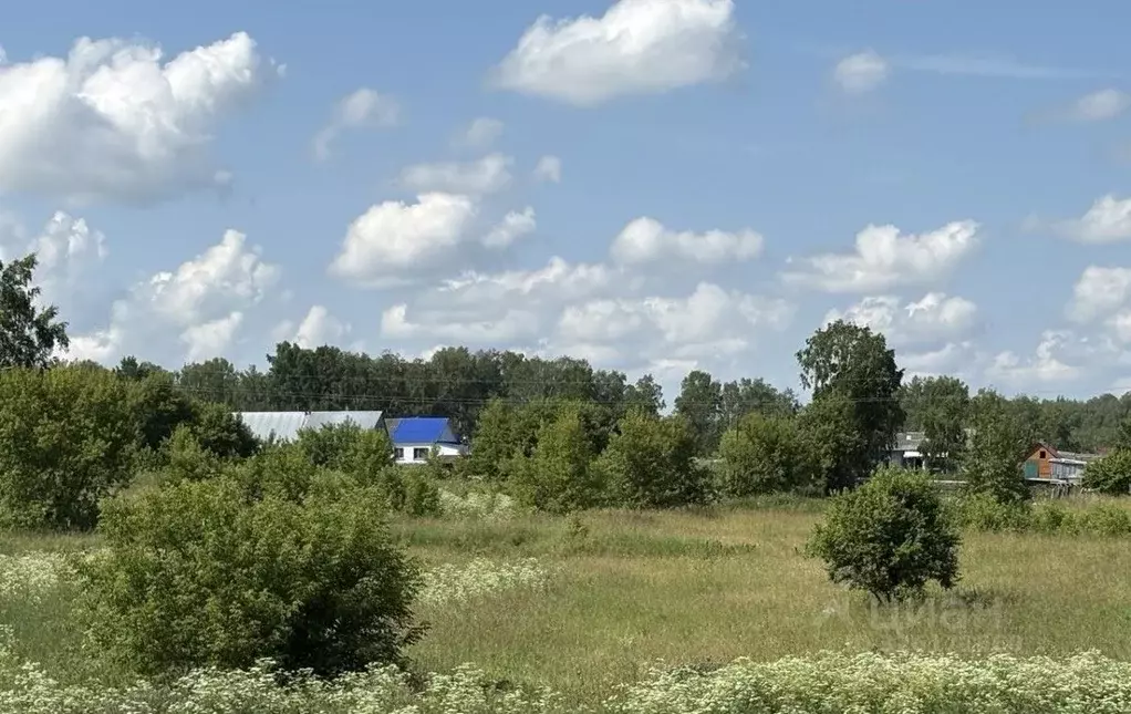 Участок в Новосибирская область, Мошковский район, с. Новый Порос ... - Фото 2