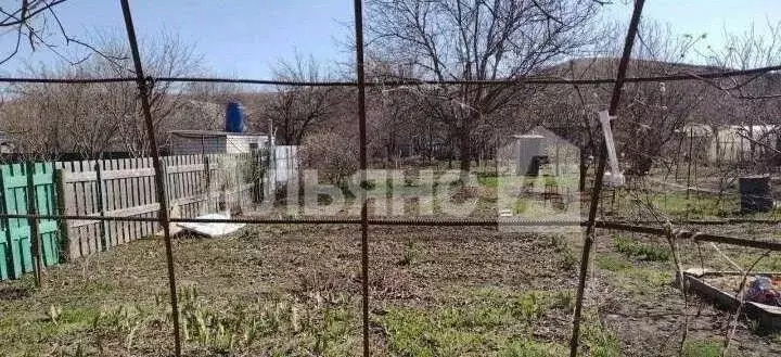 Дом в Ростовская область, Белокалитвинское городское поселение, Нива ... - Фото 2