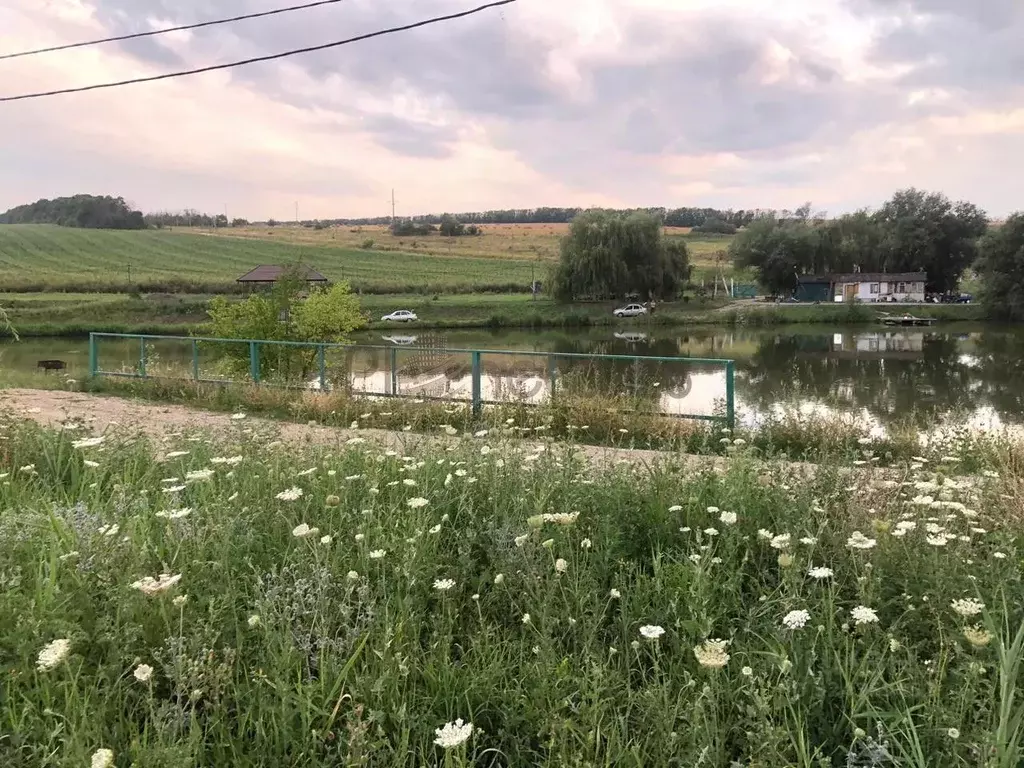 Участок в Ставропольский край, Георгиевск Рассвет садовые участки, ул. ... - Фото 2