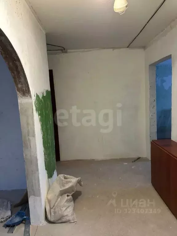 3-к кв. Башкортостан, Кармаскалинский район, д. Кабаково ул. ... - Фото 2