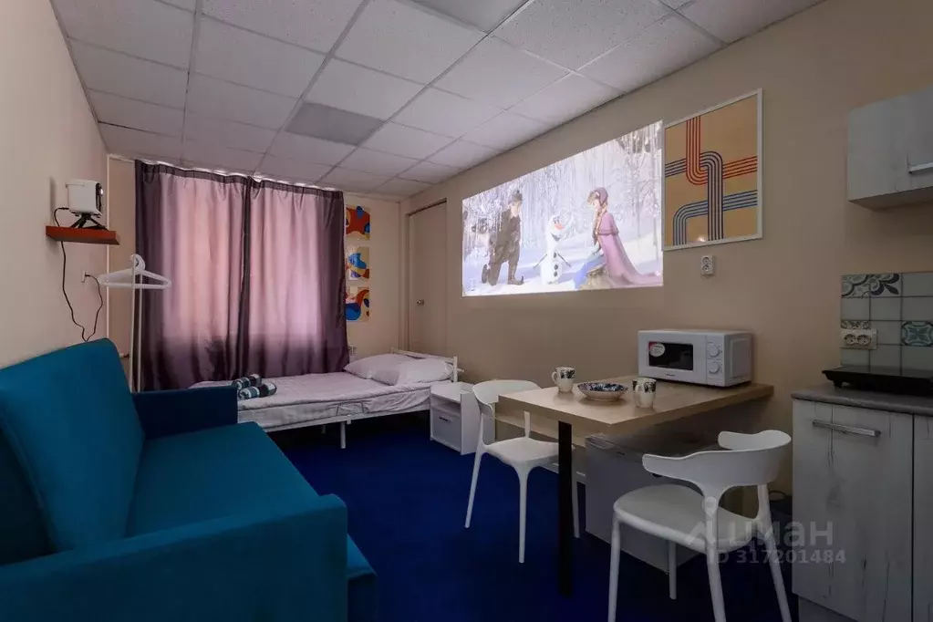Комната Санкт-Петербург Гагаринская ул., 16 (28.0 м) - Фото 0