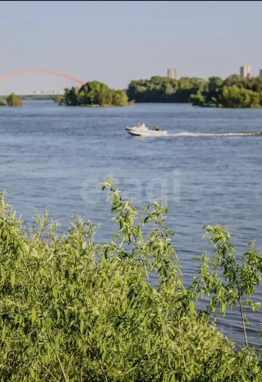 Участок в Новосибирская область, Новосибирск Садоводческого ... - Фото 1