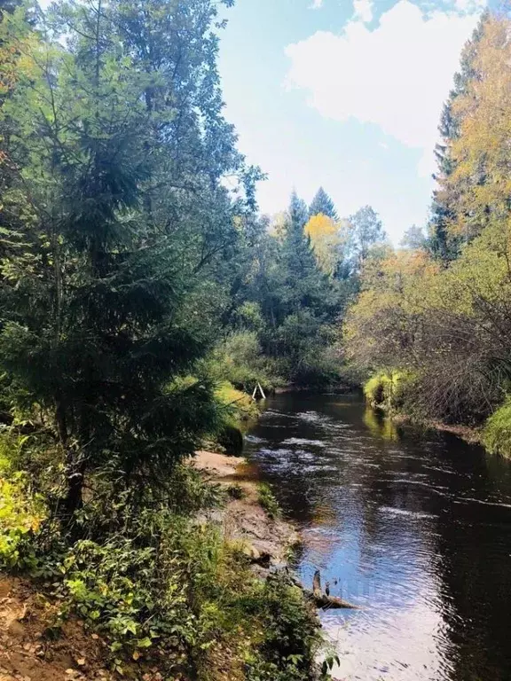Участок в Ленинградская область, Выборгский район, Первомайское с/пос, ... - Фото 2