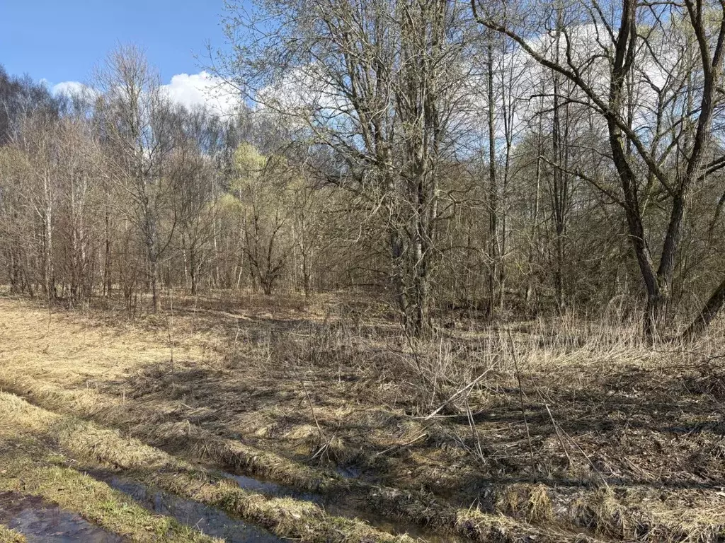 Участок в Смоленская область, Гагаринский муниципальный округ, д. ... - Фото 1