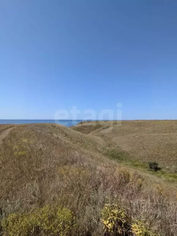 Участок в Крым, Черноморский район, с. Окуневка ул. Крупской (100.01 ... - Фото 2