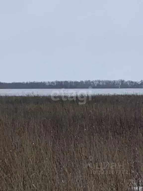 Участок в Белгородская область, Белгородский район, Головинское с/пос, ... - Фото 1