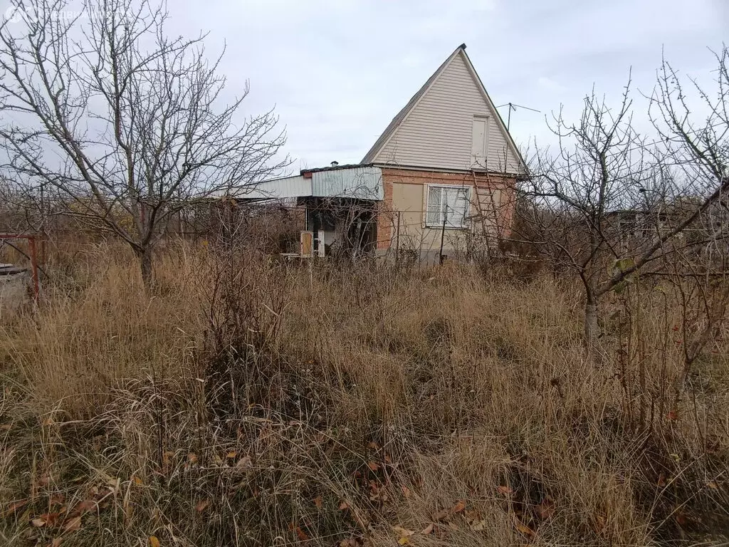 Дом в Азовский район, станица Елизаветинская (38 м) - Фото 1