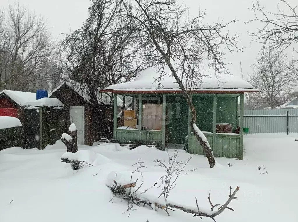 Участок в Воронежская область, Воронеж Дон СНТ, ул. Кулинарная (6.0 ... - Фото 1