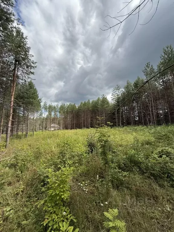 Участок в Кировская область, Слободской район, Бобинское с/пос, д. ... - Фото 0