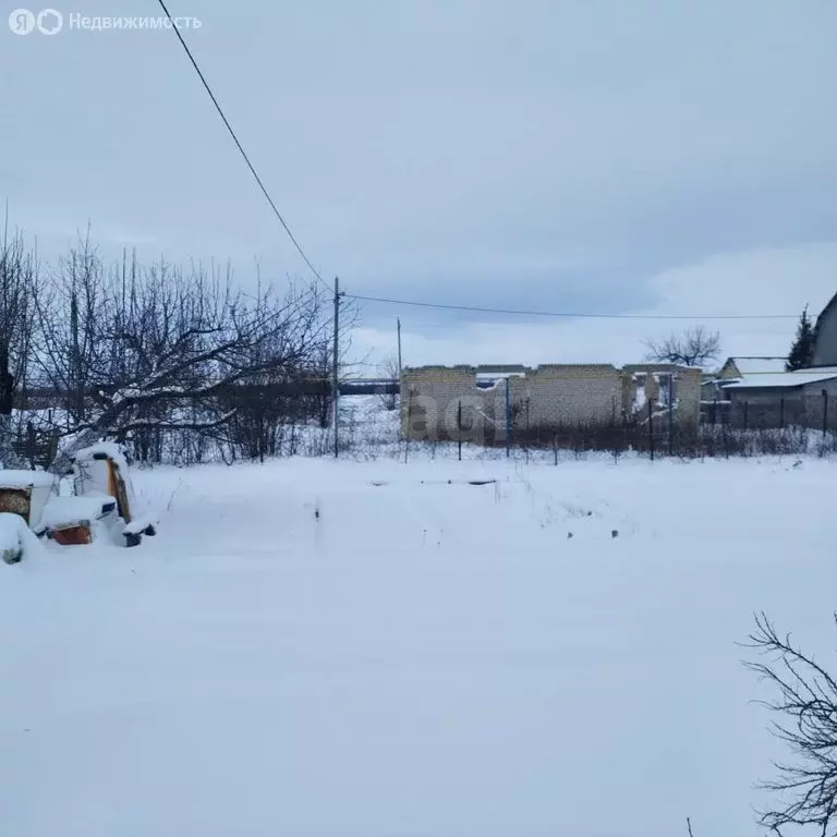 Участок в Елшанское муниципальное образование, СНТ Коммуна, 11 (8 м) - Фото 2