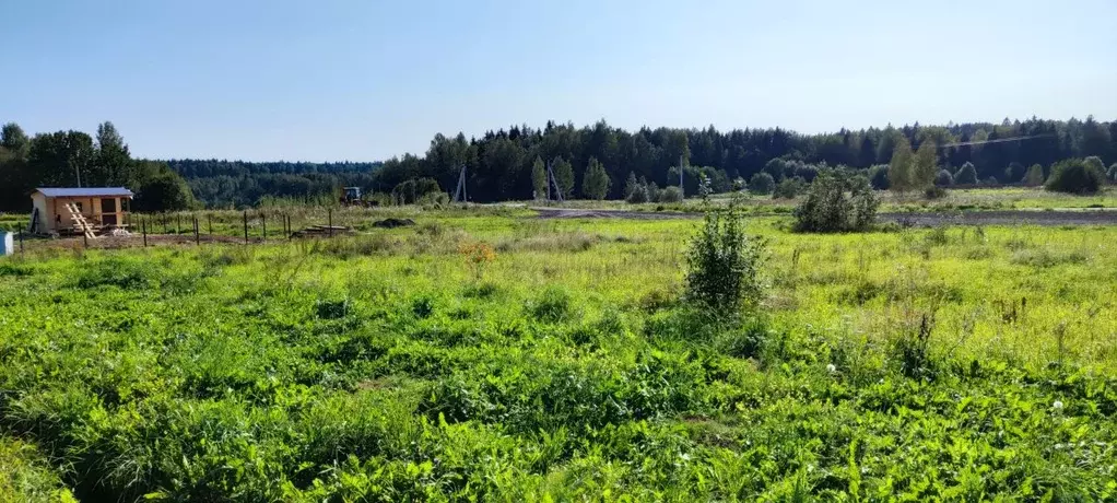 участок в московская область, сергиево-посадский городской округ, д. . - Фото 1