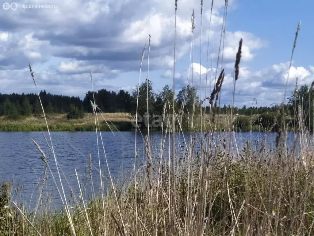 Участок в Ярославский муниципальный округ, село Толбухино (42.2 м) - Фото 1