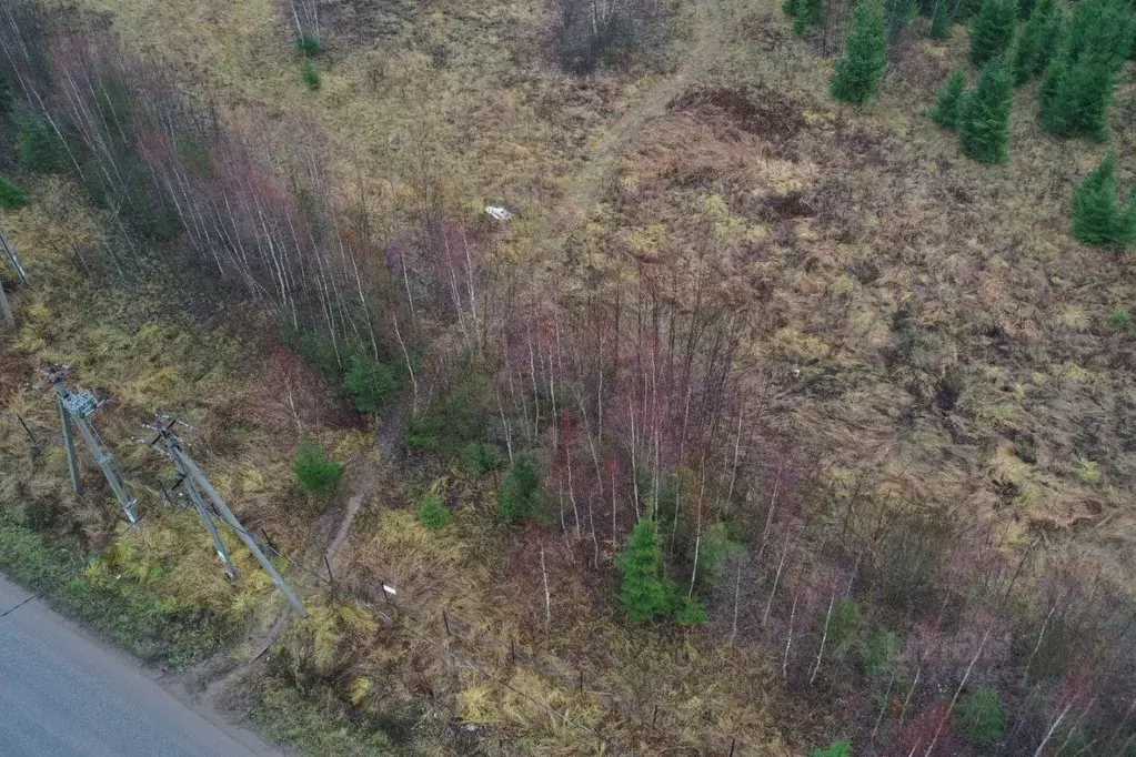 Участок в Московская область, Наро-Фоминский городской округ, д. ... - Фото 1