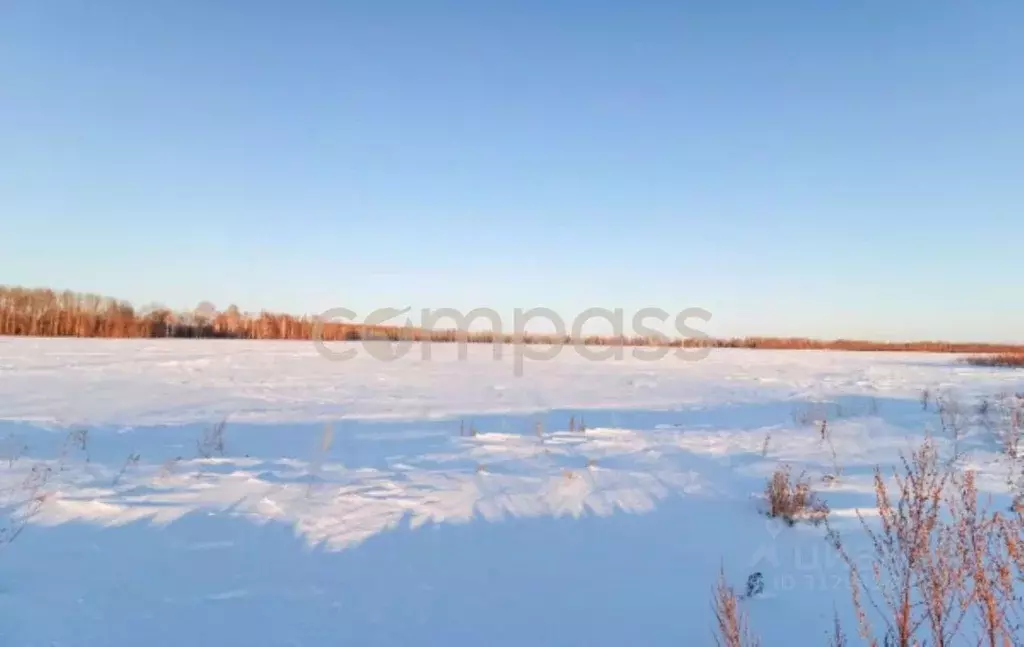 Участок в Тюменская область, Тюменский район, с. Горьковка Сибирская ... - Фото 1