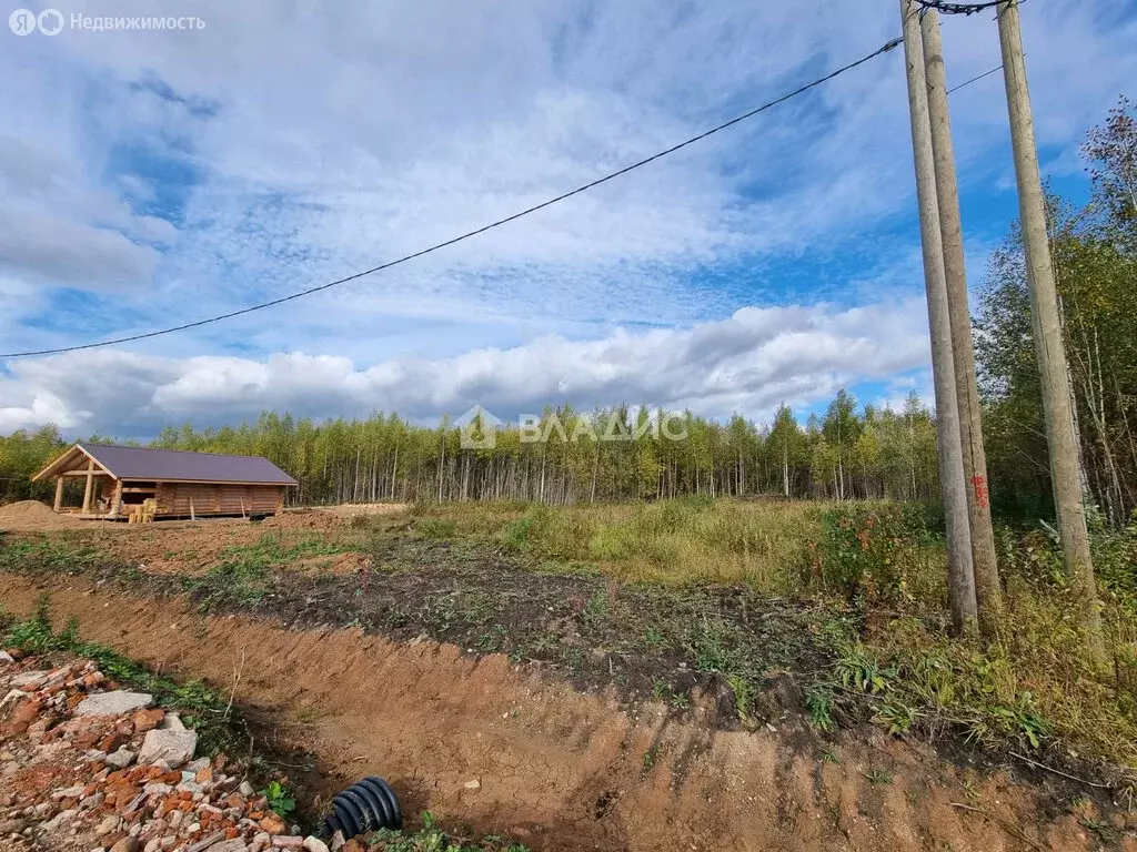 Участок в Вологодская область, Великоустюгский муниципальный округ, ... - Фото 1