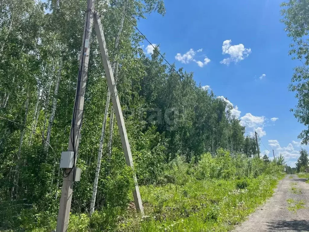 Участок в Новосибирская область, Искитимский район, Мичуринский ... - Фото 1