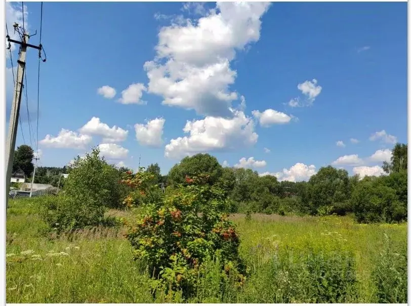 Участок в Московская область, Чехов муниципальный округ, д. Сафоново  ... - Фото 1