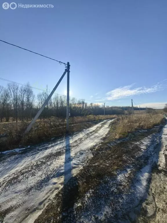 Участок в Тульская область, городской округ Тула, село Фалдино (10 м) - Фото 0