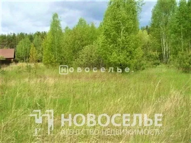 Участок в Рязанская область, Рязанский район, пос. Мурмино ул. ... - Фото 1