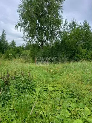 Участок 30 сот. (личное подсобное хозяйство (лпх)) - Фото 0