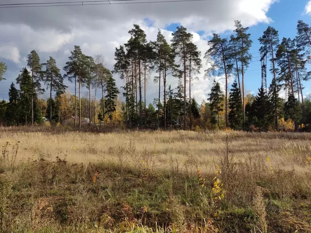 Участок в Московская область, Богородский городской округ, Восточная ... - Фото 1