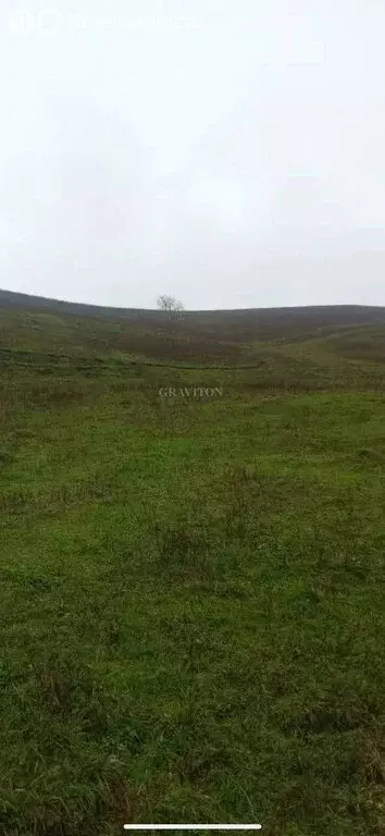 Участок в Майминский район, посёлок Алфёрово (10 м) - Фото 1