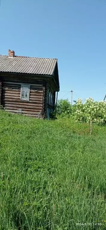 Дом в Вологодская область, Белозерский муниципальный округ, д. Большой ... - Фото 1