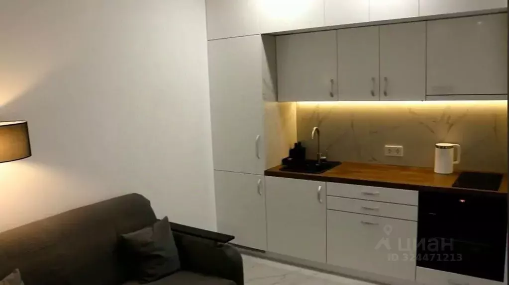 2-к кв. Краснодарский край, Сочи ул. Полтавская, 54 (40.0 м) - Фото 1