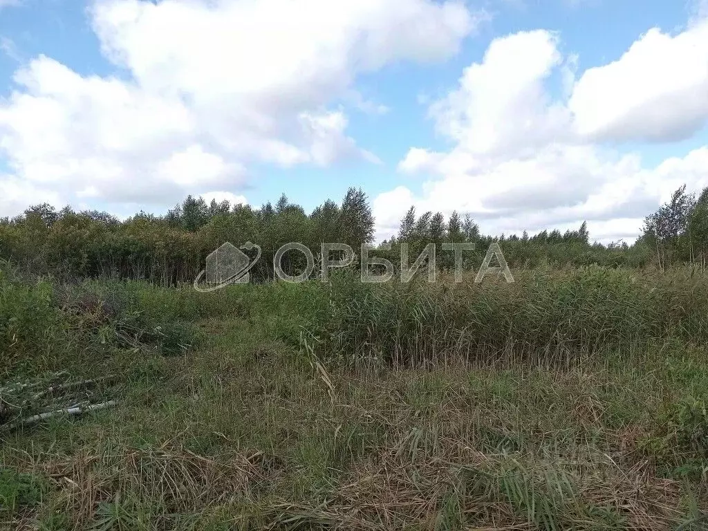 Участок в Тюменская область, Тюмень Большое Царево-2 СНТ, ул. Зеленая ... - Фото 0