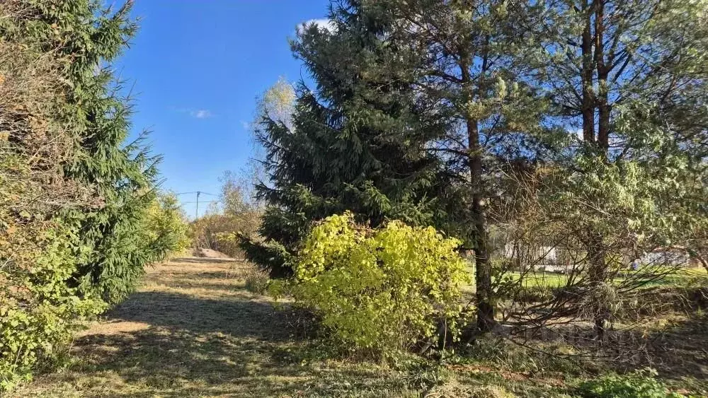 Участок в Ленинградская область, Гатчинский муниципальный округ, с. ... - Фото 2
