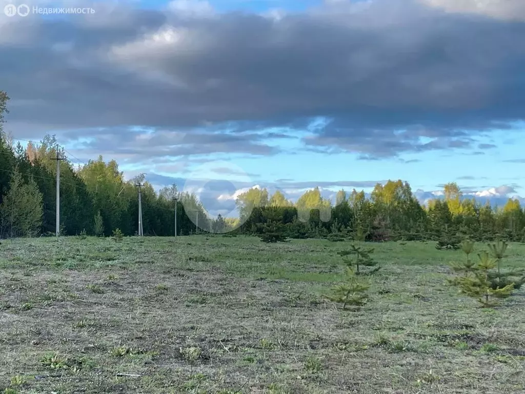 Участок в деревня Тагашево, улица Космонавтов (26.4 м) - Фото 1