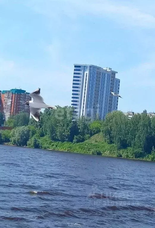 1-к кв. Пермский край, Пермь Кировоградская ул., 68А (47.7 м) - Фото 1