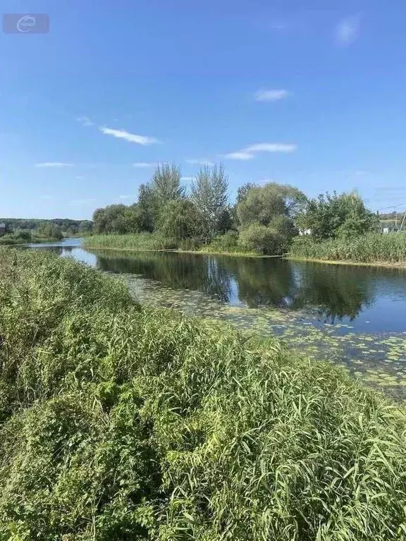 Участок в Воронежская область, Новоусманский район, ... - Фото 2