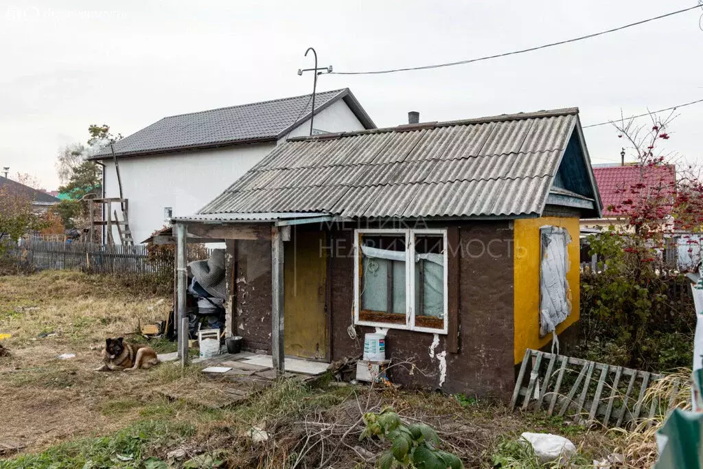 Участок в Тюмень, СНТ Торфяник-1 (5.85 м) - Фото 1