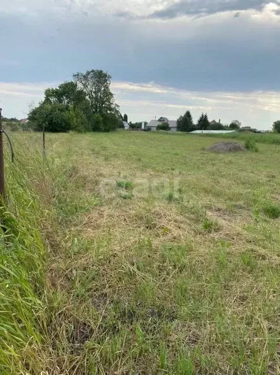 Участок в Липецкая область, с. Доброе ул. Калинина, 179 (20.5 сот.) - Фото 2