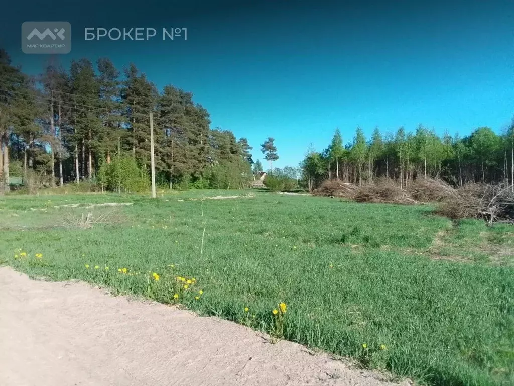 Участок в Ленинградская область, Приозерский район, Мельниковское ... - Фото 1