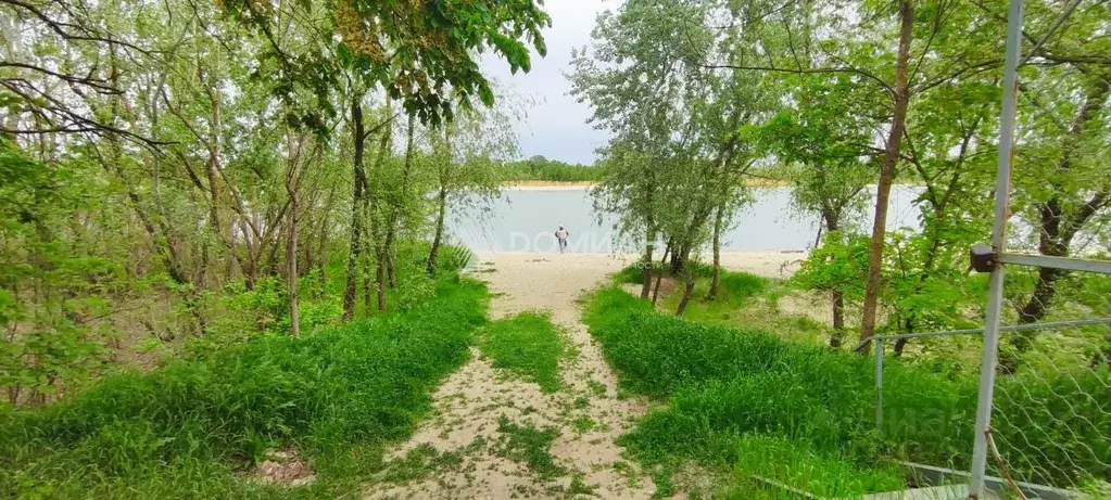 Дом в Ростовская область, Багаевское с/пос, Орион СНП ул. Дружная (48 ... - Фото 1